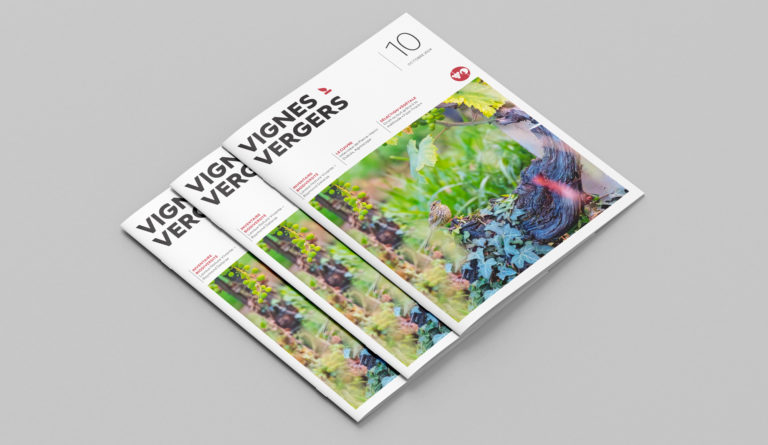 Magazine vignes et vergers